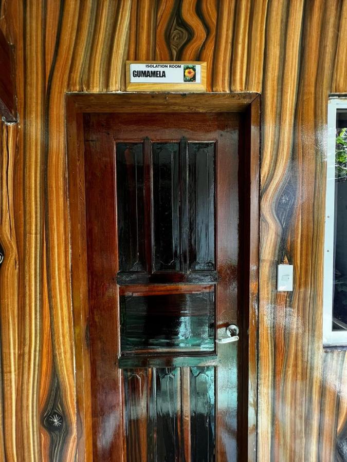 Balay Paragua El Nido Exterior foto